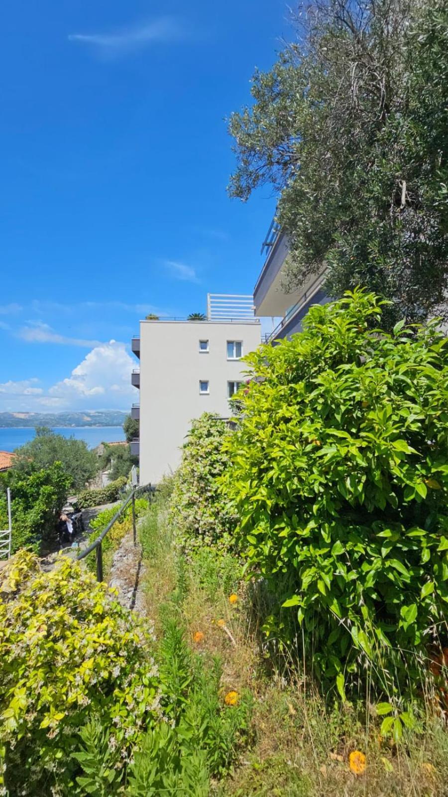 Residence Alpha Apartments Cavtat Exterior foto